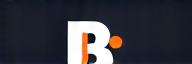 Basilik Flow Footer Logo - White